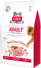 Сухой корм для кошек Brit Care Cat GF Adult Activity Support 400 г 