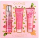 Набор Caudalie Rose de Vigne Энергетическая туалетная вода Rose des Vignes 50 мл + Гель для душа Rose de vigne 50 мл + Питательный крем для тела 50 мл
