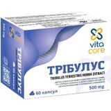 Активиум Трибулус капсулы по 500 мг №60