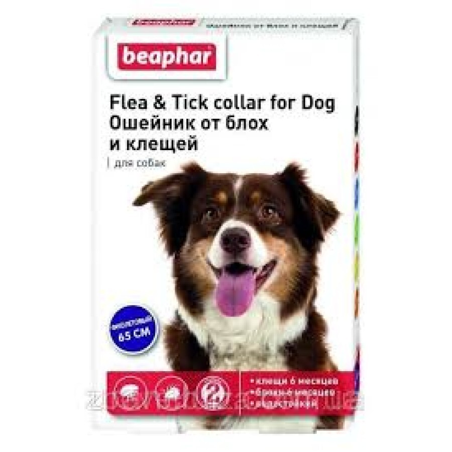 Нашийник Беафар від бліх та кліщів для собак фіолетовий 65 см: ціни та характеристики