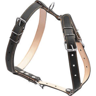 Шлея шкіряна для середніх собак, 0638 Collar