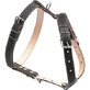 Шлея шкіряна для середніх собак, 0638 Collar