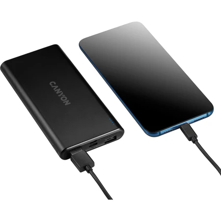 Батарея універсальна PB-106 10000mAh Input 5V/2A, Output 5V/2.1A(Max), Canyon, США: ціни та характеристики