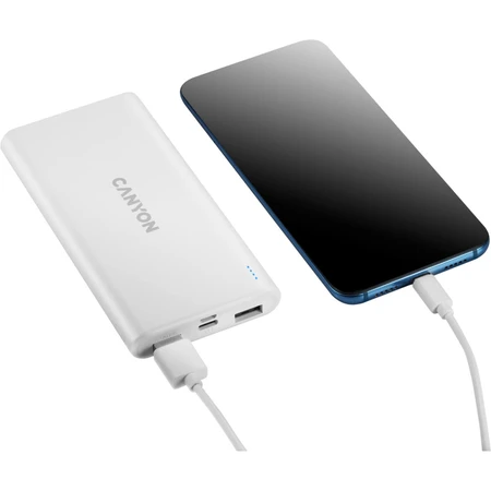 Батарея універсальна PB-106 10000mAh Input 5V/2A, Output 5V/2.1A(Max), Canyon, США: ціни та характеристики