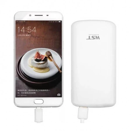 Батарея универсальная 10000mAh PD/2.0(USB-C), QC/3.0(micro-USB,USB-A), white, WST: цены и характеристики