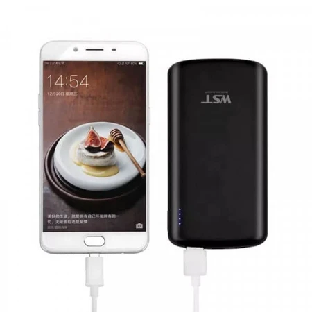 Батарея универсальная 10000mAh PD/2.0(USB-C), QC/3.0(micro-USB,USB-A), black, WST: цены и характеристики