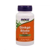 Гинкго Билоба, 60 мг, Ginkgo Biloba, Now Foods, 60 вегетарианских капсул