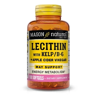 Лецитин з водоростями, вітаміном B6 та яблучним оцтом, Lecithin With Kelp/Vitamin B 6 Plus Cider Vinegar, Mason Natural, 100 гелевих капсул