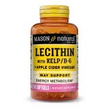 Лецитин с водорослями, витамином B6 и яблочным уксусом, Lecithin With Kelp/Vitamin B 6 Plus Cider Vinegar, Mason Natural, 100 гелевых капсул