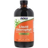 Жидкий Хлорофилл, Liquid Chlorophyll, Now Foods, мятный вкус, 473 мл