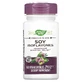Соєві ізофлавони, преміальної якості, Premium Blend, Soy Isoflavones, Nature's Way, 60 вегетаріанських капсул