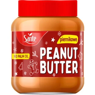 Арахисовая паста GoOn Nutrition Peanut Butter Gingerbread, 350 г