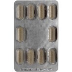 Сетрия Форте Глутатион таблетки, №30 (10х3): цены и характеристики