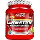Креатин Amix Creatine monohydrate, 1000 г