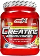 Креатин Amix Creatine monohydrate, 1000 г