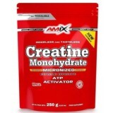 Креатин Amix Creatine monohydrate, 250 г (пакет)