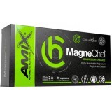 Магний Amix ChelaZone MagneChel Magnesium Bisglycinate Chelate, 90 веганских капсул
