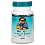 Детские Жевательные Витамины для Иммунной Системы, вкус ягод, Wellness, Children's Immune Chewable, Source Naturals, 30 пластинок