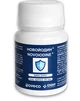 DGP PHARMA