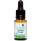 Лактаза в каплях, Lactase Drops, Seeking Health, 15 мл
