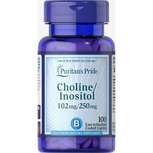 Холін та інозитол, Choline Bitartrate Inositol, Puritan's Pride, 100 каплет