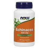 Ехінацея, Echinacea, Now Foods, 400 мг, 100 вегетаріанських капсул