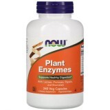 Энзимы (Plant Enzymes), Now Foods, ферменты, 240 вегетарианские капсулы