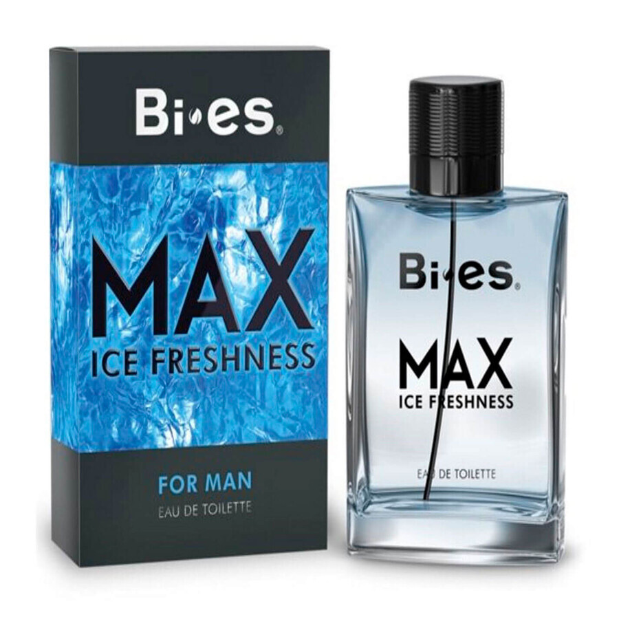 Туалетная вода мужская MAX 100мл, Bi-Es: цены и характеристики