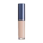 Маскуючий засіб коректор Fashion Concealer 101, Color Me: ціни та характеристики