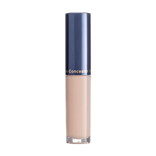 Маскуючий засіб коректор Fashion Concealer 101, Color Me