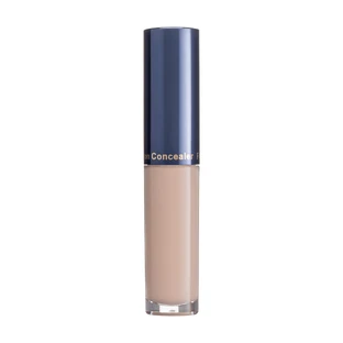 Маскуючий засіб коректор Fashion Concealer 103, Color Me