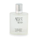 Парфумована вода чоловіча Ardagio Aqua 100мл, Jfenzi