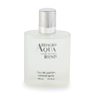 Парфюмированная вода мужская Ardagio Aqua 100мл, Jfenzi