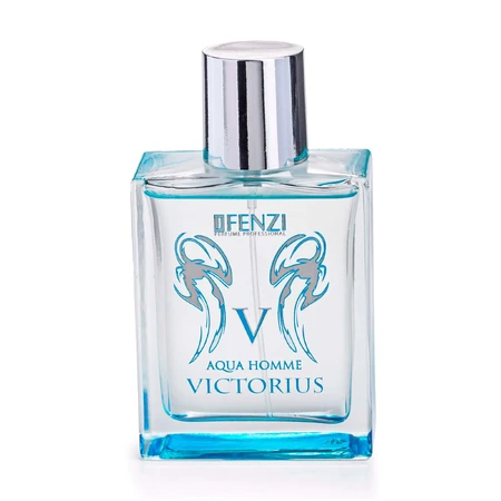 Парфюмированная вода мужская Victorious Aqua 100мл, Jfenzi: цены и характеристики