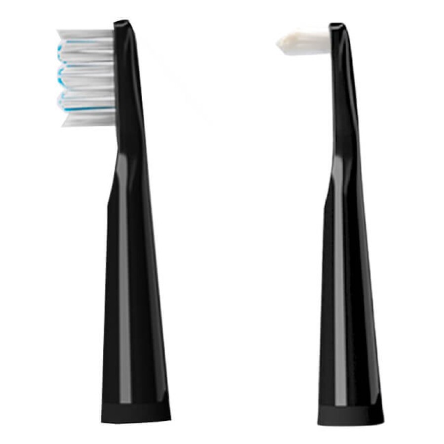 Насадки для электрической зубной щетки Vega VT-25 (2шт) Цвет - черный: цены и характеристики