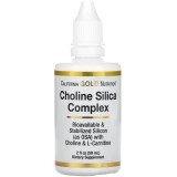 Комплекс холіну та кремнію для підтримки волосся, шкіри та нігтів, Choline Silica Complex, California Gold Nutrition, 59 мл