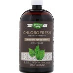 Рідкий Хлорофіл, Liquid Chlorophyll, Nature's Way, 473 мл: ціни та характеристики