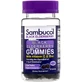 Черная Бузина, Black Elderberry, Sambucol, 30 жевательных таблеток
