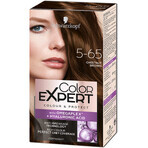 Краска для волос Color Expert 5-65 Шоколадный Каштановый 142.5 мл: цены и характеристики