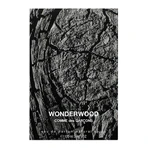 Парфюмированная вода Comme Des Garcons Wonderwood 100 мл: цены и характеристики