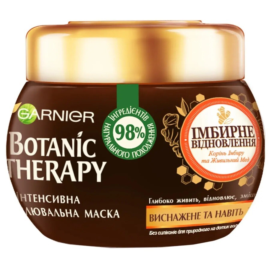 Маска для волосся Garnier Botanic Therapy Імбирне Відновлення 300 мл: ціни та характеристики