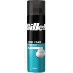 Піна для гоління Gillette Classic Sensitive 200 мл: ціни та характеристики
