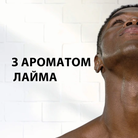 Піна для гоління Gillette Classic Лайм 200 мл: ціни та характеристики