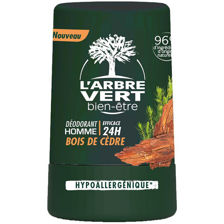 Дезодорант L'Arbre Vert для мужчин с экстрактом кедра 50 мл: цены и характеристики