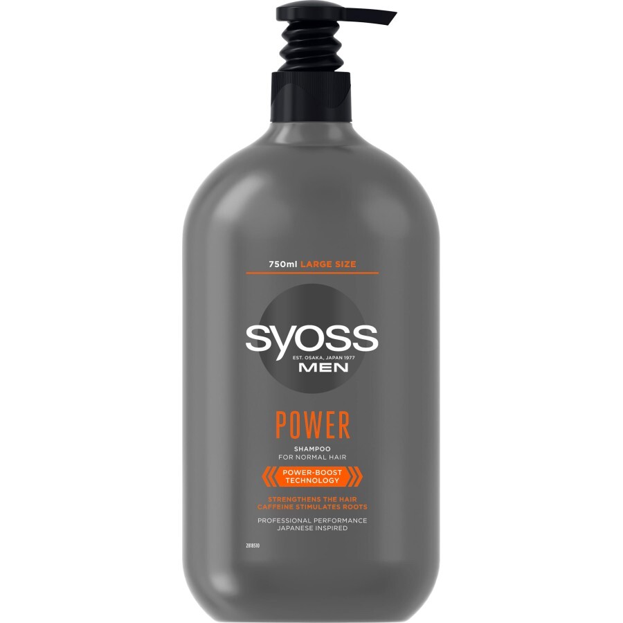 Шампунь Syoss Men Power с Кофеином для нормальных волос 750 мл: цены и характеристики