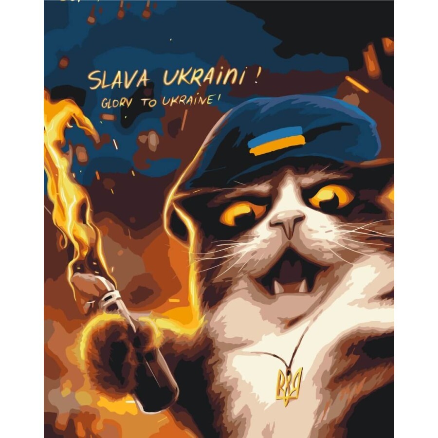 Картина по номерам ZiBi Котик повстанец ©Марианна Пащук, 40*50 см: цены и характеристики
