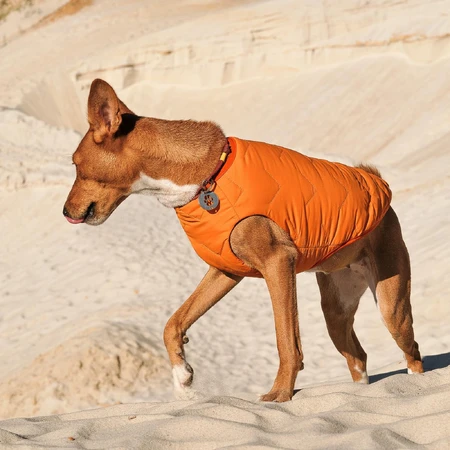 Жилет для животных Pet Fashion "E.Vest" L оранжевый: цены и характеристики