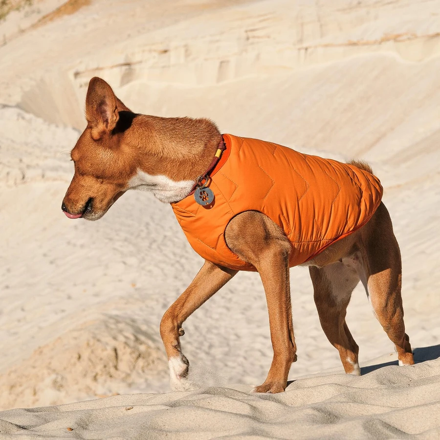 Жилет для животных Pet Fashion "E.Vest" L оранжевый: цены и характеристики
