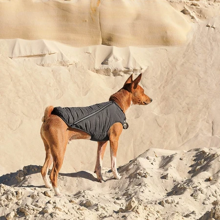 Жилет для тварин Pet Fashion "E.Vest" L сірий: ціни та характеристики