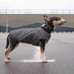 Жилет для тварин Pet Fashion "E.Vest" L сірий: ціни та характеристики